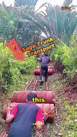 Special method of transporting sago trunks #nature #humanities #manufacture #invention #create #education #technology #machinery #popularscience #unique #interesting #shorts #fyp #foryou 