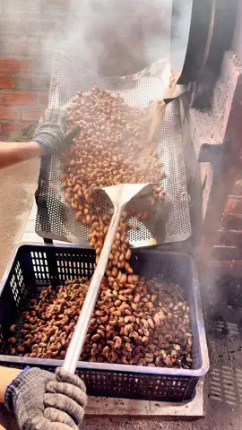 Điều rang muối tại lò nè cả nhà #nongsananhquoc #hatdieurangmuoi #dieuranggion #dieurangmuoinguyenlua 