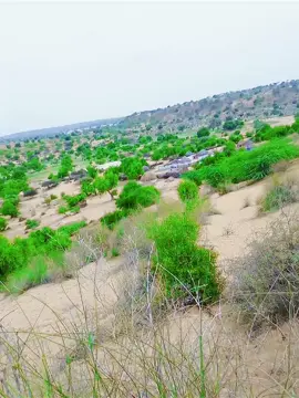 #❤️❤️❤️❤️❤️🥰🥰🥰🥰🥰🥰❤️❤️🥰🥰🙏🙏🙏🥰🥰❤️❤️🙏🥰🥰❤️🥰❤️❤️❤️❤️❤️❤️🥰🥰 