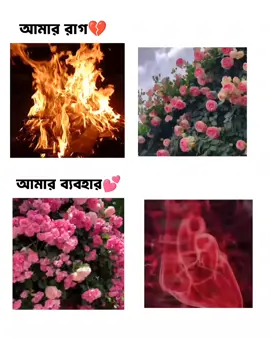 __আমার দূর্বলতা একটুতেই হার্টবিট বেড়ে যায়😅🥲🥹#foryourpage #viral #fypage #unfreezemyacount #unfreezemyacount #angel_rongin_007 #fypシ゚ #foryou 