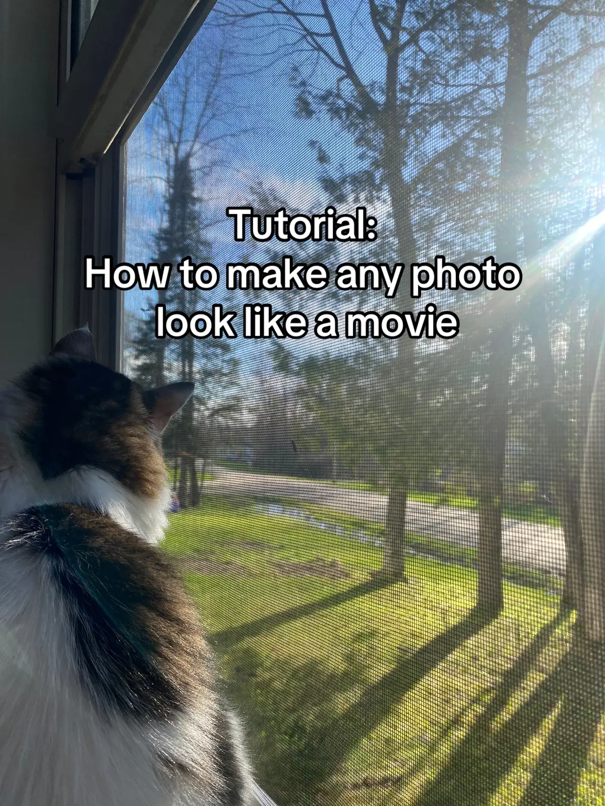 #traumatok #viral #fypシ #anxiousattachment #ptsd #relationships #trends #fyppppppppppppppppppppppp #fyp #momtok 