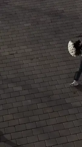 #🧸 
