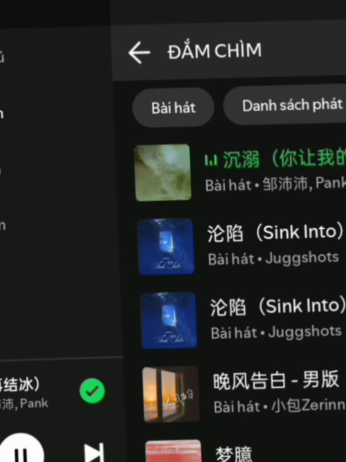 ĐẮM CHÌM (沉溺) - 邹沛沛，Pank #music #spotify #lyric #chill 