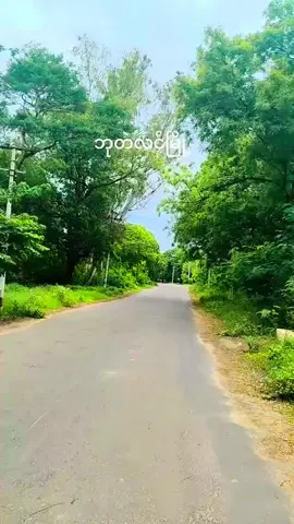 စစ်ကိုင်းတိုင်းဒေသကြီး#မုံရွာခရိုင်ဘုတလင်မြို့နည်#ဘုတလင်မြို့နည်သူနည်သားများအလွမ်းပြေကြပါစေ#😊