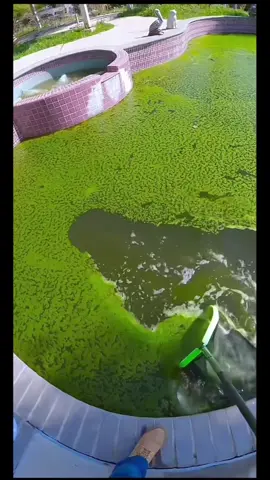 Clean swimingpool #swimingpool #water #ete #netoyage #piscine #clean #foryoupage❤️❤️ #foryoupagе #pourtoipage #pourtoi #pourtoii #fyppppppppppppppppppppppp #fyp #asmr 