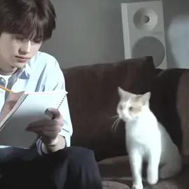 shinyu & cats 🐈‍⬛  #shinyu #tws_pledis #247WithUs #tws #신유 #fyp #foryoupage #4u 