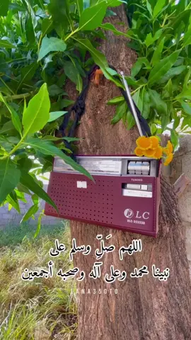 #عليه_افضل_الصلاه_والسلام #اكسبلورexplore #لانامحمد #مساءالخير 