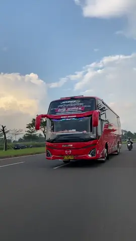 bukit berbunga “sangmantan” #basuribukitberbunga#fyp#bukitberbunga#qonitawisata#sangmantan