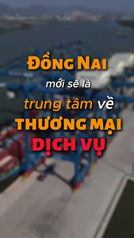 Đồng Nai Sẽ Là Trung Tâm Thương Mại Dịch Vụ #tranthangbds 