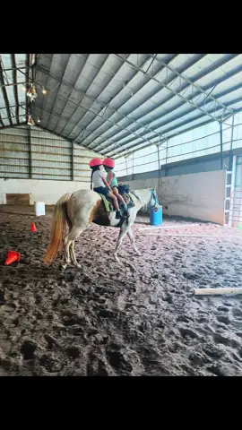 Every horse deserves to be loved by a little girl at least once in their lifetime 🥹 #teachthemyoung #horsetok #horsegirl #horsegirlinthemaking #foryoupage 