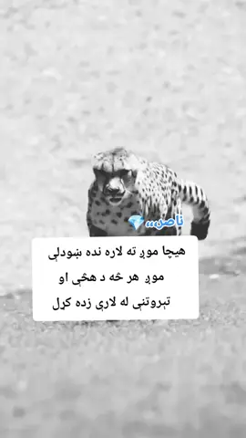 #💎ناصر💎📚 