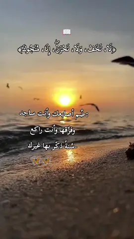 #سوره #القران_الكريم_راحه_سمعك_القران💙🎧 #قران_كريم #قران_كريم_ارح_سمعك_وقلبك♡ #موصل_العراق_ #نينوى_الموصل #رمادي_الانبار #المحافظات_العراقية #rypシ #ru #vnvideoeditor #foryou #هاشتاقات_تيك_توك #اكسبلور_فولو #نعمه #الحسان #رمادي @مسلم | من الرمادي 📚 @rzgar..4 @سعد الغامدي @جـ༈ۖ҉ـؤُفـ༈ۖ҉ـ آلَلَيـ༈ۖ҉ـلَ🦋 