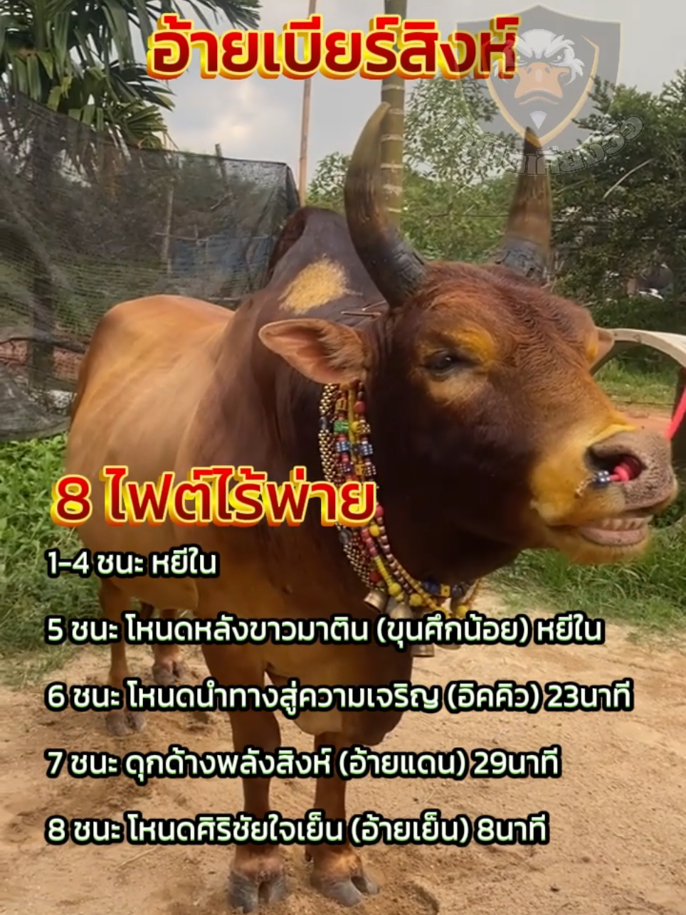 ลังสาดเหลี่ยมเพชร #อ้ายเบียร์สิงห์ #น้าเป็ด #วัวชนภาคใต้ #วัวชนภาคเหนือ #ทีเด็ดวัวชน #ชึ้นฟีตเถอะ #เปิดการมองเห็น #อย่าปิดการมองเห็น #iloveTikTok #วัวดีวัวเด็ดประจำวัน #วัวดีวัวเด็ดประจําวันใต้ #อนุรักษ์วัวชนใต้