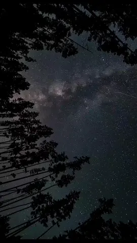 #mantoestelar #moenia #musica #spotify #fly #video #viral #videoviral #videoconletra #CapCut 