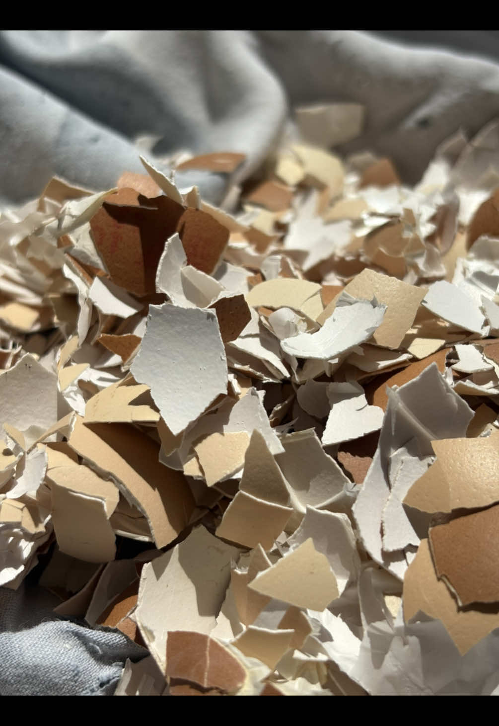 Was lowkey panicking when starting this project — who knew broken eggshells could turn into something this cute?! 🥚💫 But here we are. This is what sustainable design looks like — messy, experimental, a lil scary… but worth every second. Building a brand that’s kind to the planet, one cracked shell at a time 🌍🌱 Let’s make trash beautiful. Let’s make design responsible. #wanjiarts #D#DIYWithPurposeR#RecycledDesignS#SustainableLivingE#EcoFriendlyDesignU#UpcycledArtT#TerrazzoTrendE#EcoChicK#KenyanCreativesM#MalaysianMakersS#SupportLocalArtisansG#GreenDesignC#CircularDesignM#MadeFromWasteC#CreativeReuseS#SustainableBrandT#TrashToTreasureE#EggshellArtR#ReduceReuseRedesignE#EcoTokA#ArtForThePlanetD#DesignWithImpactH#HandmadeWithLoveA#AfricaToTheWorldM#MalaysiaBolehT#TikTokKenyaT#TikTokMalaysiaS#SustainableStyleC#CraftTokZ#ZeroWasteDesignGlobalCreatives #handmadeinkenya #kenyantiktok🇰🇪 #handcrafted #handcraftedesigns #handmadeinmalaysia #malaysiatiktok #sustainable #upcycle #recycle 