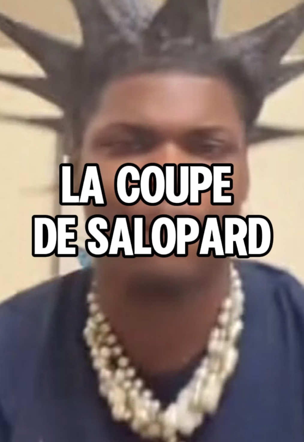 C’EST QUE DES VANNES TIKTOK CHUI UN MEC SYMPA EN VRAI 