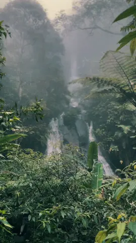 Adem ayem🍃.      #girimanik #wonogiri24jam #forest #airterjun #wonogiri #fyp #fypシ 