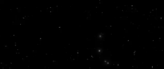 وقالتلي قول م الكلام ببلاش .  .  #تصميم_فيديوهات🎶🎤🎬 #تصميم_شاشه_سوداء #مهرجنات #حلات_واتس#ميسو_ميسره 