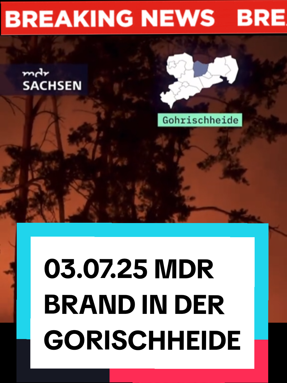 #mdr #gorischheide #sachsen #dresden #meissen #heide #brand #feuerwehr #fyp #videoviral #deutschland #trocken #umwelt #sommer 