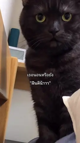 ฝันดีน้าาาาา #fyp #ฝันดีนะค้าบ #แฟนน่ารัก #เธรดรักแฟน 