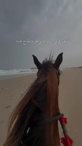 اعتزي بي#جديد #شيلات_فخمة❤️ #fypシ #fyp #مساء_الخير🌹 #اكسبلور #شاطي_الاشخره #الاشخره_الشرقيه_جعلان_بني_بوعلي #السويح #CapCut #صباح_الخير #اكسبلور #اكسبلورexplore 