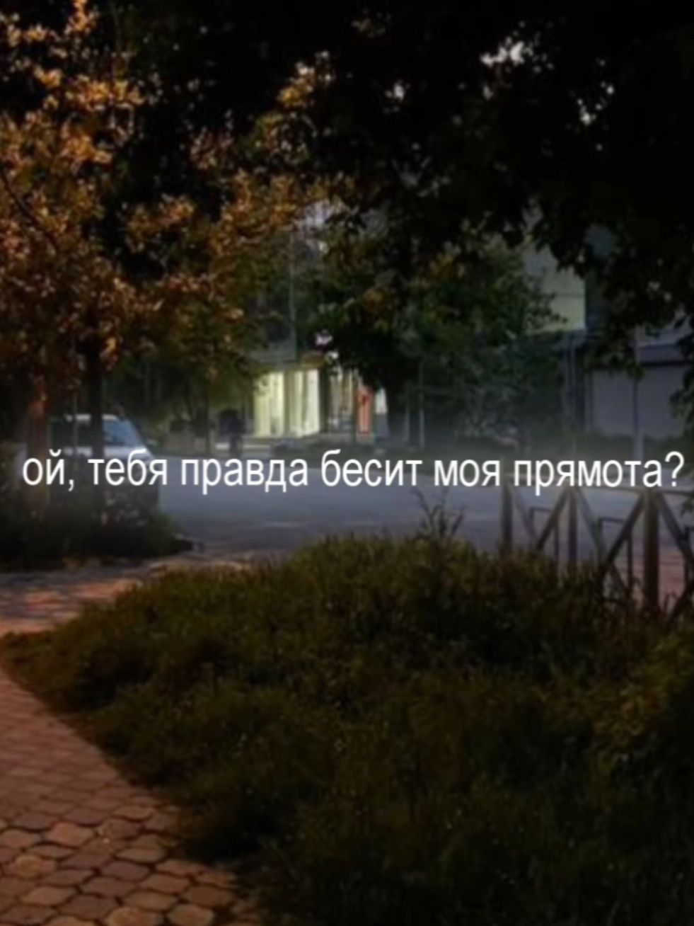 ты не настолько хорош, чтобы меня убивать // #lyrics #text #song #footage #футаж #текстпесни #twinklesound #zhanulka 