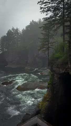 Cape Flattery, Olympic National Park. The edge of the world. #earth #nature #landscape #beautifulpictures 