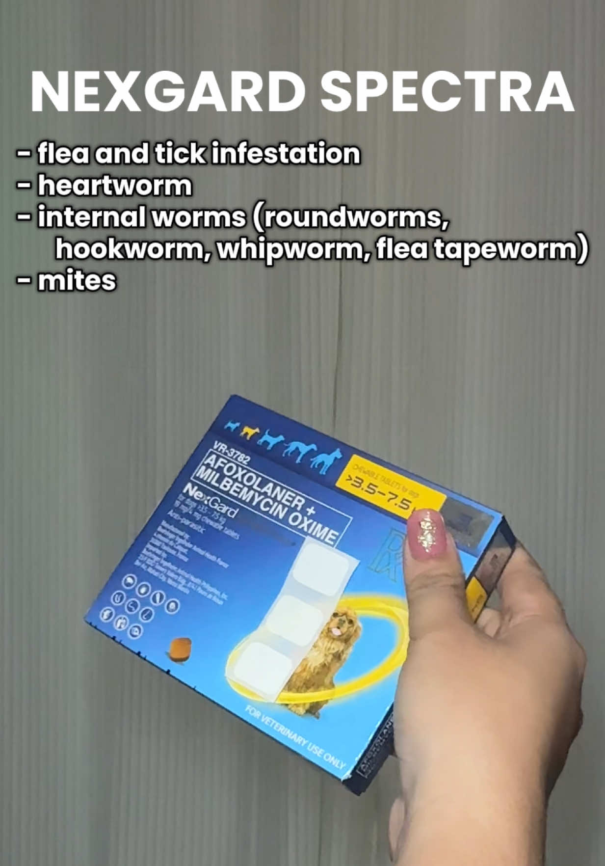 Panggarapata at pang deworm n sa mga dogs natin. Subok na namin tong nexgard spectra #nexgardspectra #tickandfleastreatment #nexgard 