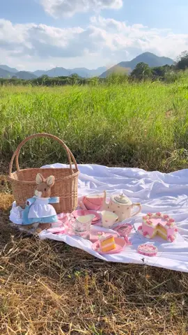 Romanticizing life 🫶🏻🪵🌾🪿🌷 #cottagecoreaesthetic #cottagecore #countryside #picnic #fairycore #princesscore 