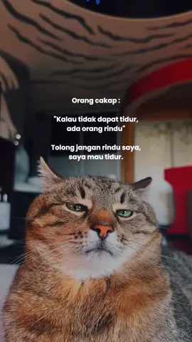 selamat malam hampa..sweet dream 🌙😴