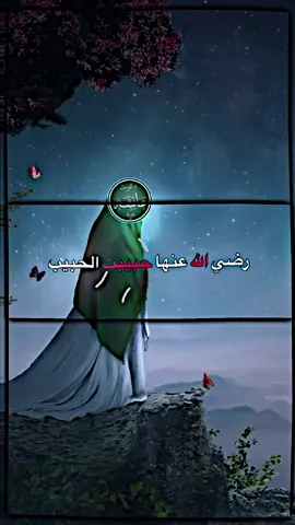 رضي الله عنها حبيبت الحبيب❤️ #صلوا_على_رسول_الله #تصميمي #فيديو_ستار 
