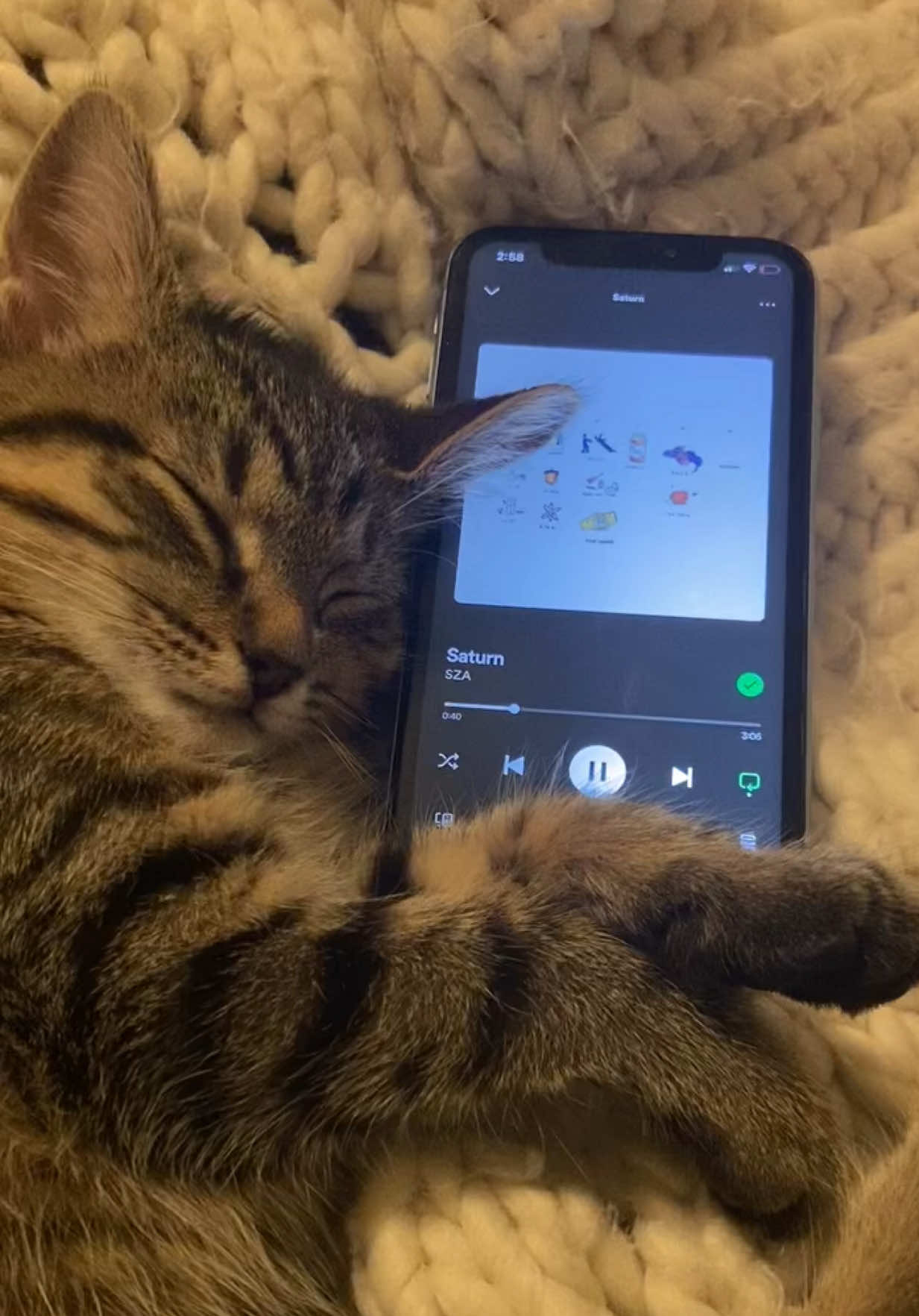 Rory’s playlist pt. 136 @SZA #saturn #sza #spotify #music #cat #catsoftiktok (old video TT removed the sound when I tried to post it last year) 