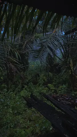 Kamin 🎧 #songoftheday #sadsong #sadvibes #sadness 