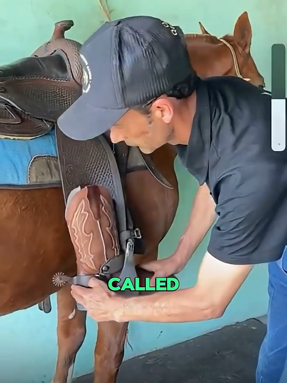 What is the role of the Spurs #viral #foryoupage #trending #amazing #spurs #horse #usa #usa🇺🇸 