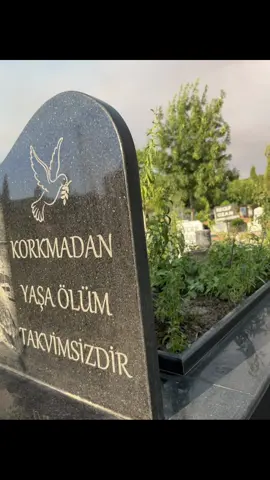 #haciiakkoyun 