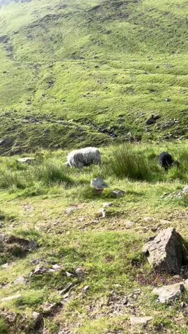 Please feel free to use for background #nature #mountain #mappers #mapbackground #saveeuropemovement #naturebackground 