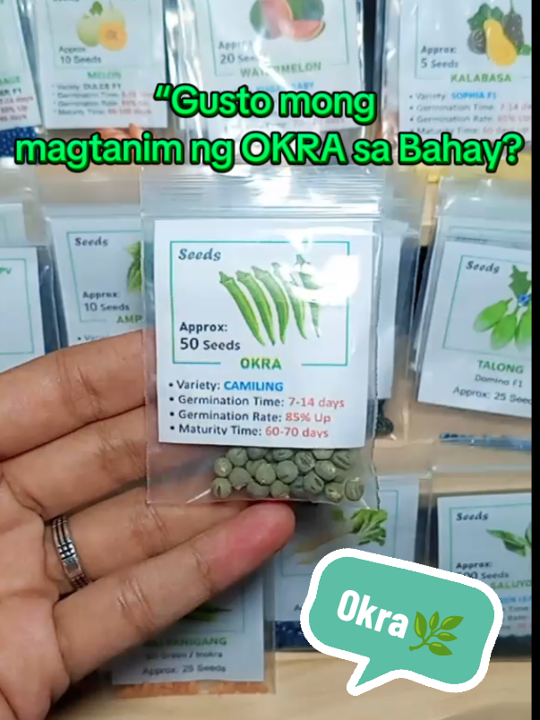 🌿 Home gardening made easy! Magtanim ng Okra gamit ang dekalidad na buto! ₱29 lang bawat pack – swak sa budget, swak sa garden. 👉 I-tap ang product link sa baba para umorder na! #OkraSeeds #HomeGardenPH #affiliate 