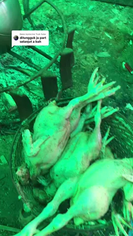 Membalas @Tuak Salai tu a part dua a#orangdayaktamansekadau #gawai #musimgawai 