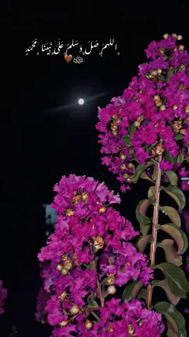 ﮼اللَهمَ﮼صَلَ﮼وَسَلَمْ﮼عَلَىٰ﮼نَبِيَنَا ﮼مُحَمَدٍ ﷺ🤎#سلاوات_لە_سەر_گیان_پێغمبەر_د_خ🤲📿 