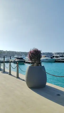 Villa Caracas Lebanese Restaurant@Villa Caracas#اكل_لبناني #fyp #photography 