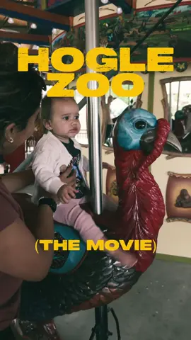 A couple of weeks ago I decided that this life is way to incredible not to document. I’m so grateful for every day and I hope one day our little family can look back at all of our chapters and relive these movements. Enjoy the zoo. 🫶 #utahfamily #hoglezoo #homevideo #danceteacher 