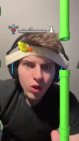 Flappy Bird brainrot voice game 💀🤸