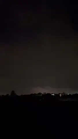 4ich willow ( 100mm) #phaohoatet  #phaohoa 