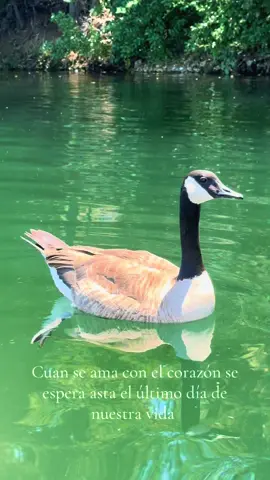 #que importa esperar 