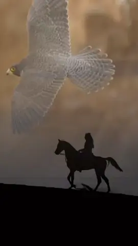 مادام لي رزقٍ مسّجل على اللوح ماهمني لو شان جو الخليقة #نايف_الراضي كلمات @الشاعر : سعد السعيِّد #عاشق_الخيل 