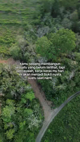 🥺#sawitontiktok #petanisawit #sawitsumatra #cvrawasindahgroup #petanimilenial #patanisawitmuda #sawitfyp 