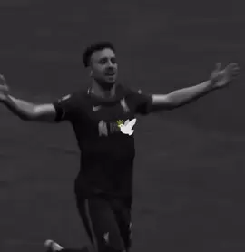 DESCANSA EN PAZ #diogojota 