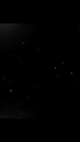Jauría santa Somos osos 🐻🐻