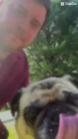 #viral #fyp #fypシ゚viral #trending #foryoupage 