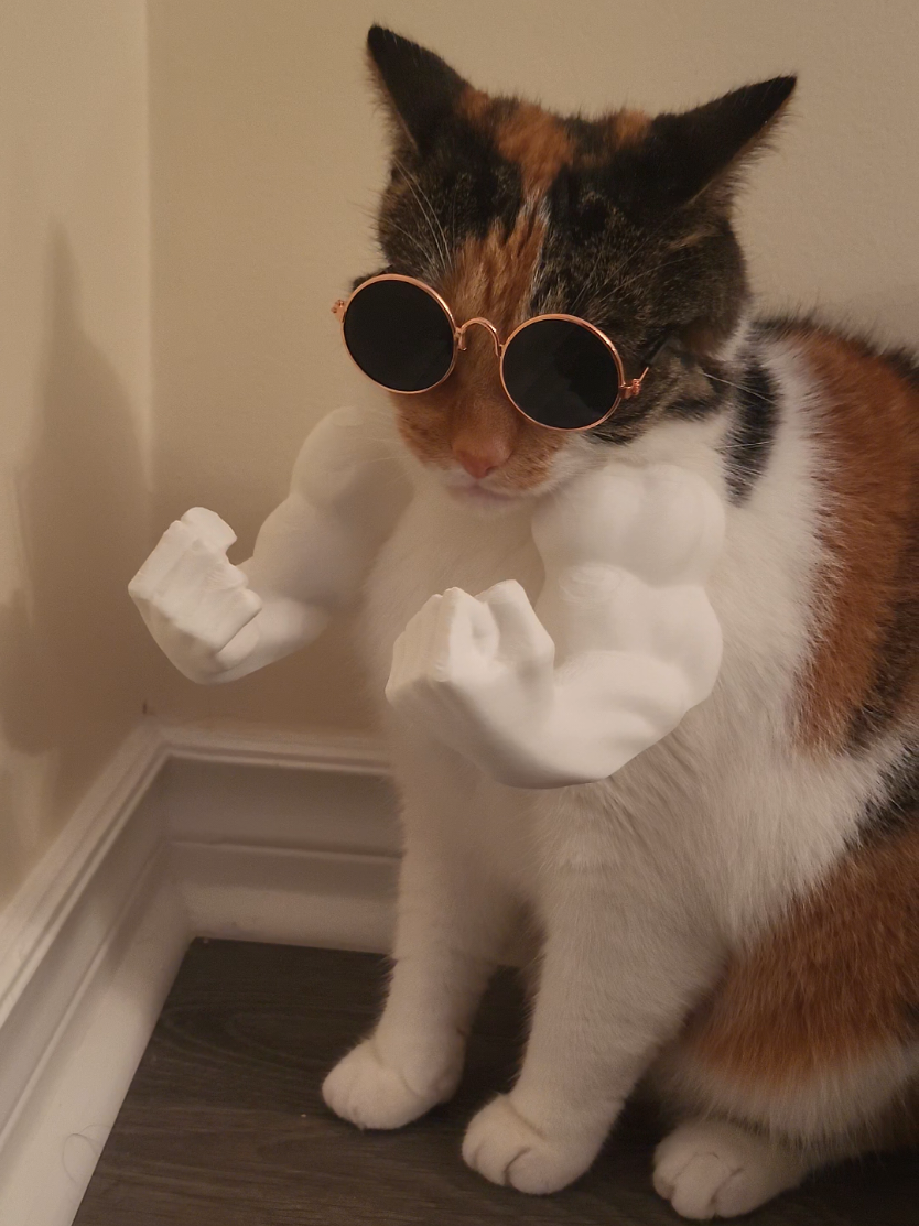 What should we make next? 😅 #catsoftiktok #cat #funny #funnycat #funnytiktok #relatable #cats #catsbeingcats 